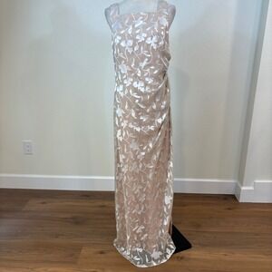 Vtg 90s Arianna by Rachel Kaye Maxi Dress 8 Champagne  Burnout Formal Chic event